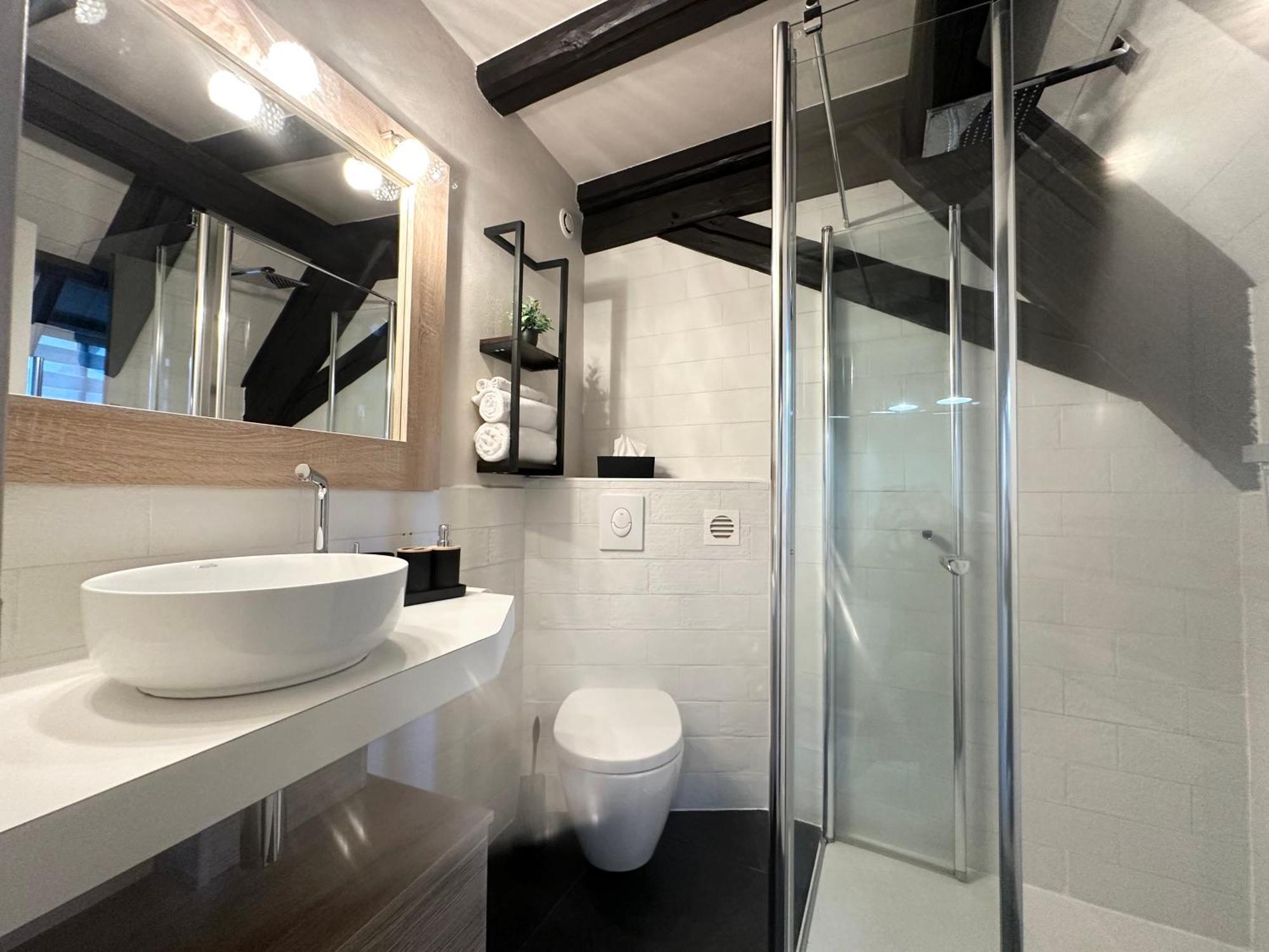 Apartment Jeannette Ribeauville (Haut-Rhin)